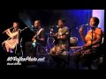 eleMOTHO - Butterfly