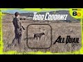 CAZA de CODORNICES con PERRO en MEDIA VEDA #2 | QUAIL HUNTING with DOG | 2016 | HD