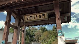 【令和】最上三十三観音歩き巡礼 結願への280kmの道「庭月結願」編