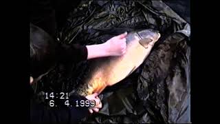 17 pound mirror carp  action April 1999