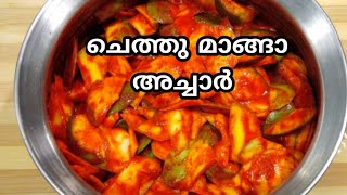 കിടിലൻ രുചിയിൽ ചെത്തുമാങ്ങാ അച്ചാർ ll chethu manga achar ll#chethumangaachar #pickle #achar #mango