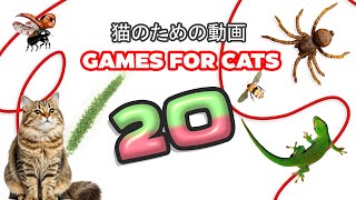 【猫向け動画 MIX 20】ネズミ、 トカゲ、鳥、 ヒモ 3時間 GAME FOR CATS 20 🐱✨ 🌟🐟