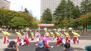 若柳よさこい桜 📍みちのくYOSAKOIまつり (勾当台公園) 2023-10-08T12:48