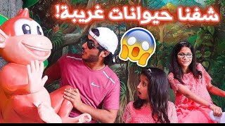 Hamda and her Sisters Go to the Zoo for the First Time | We Saw Weird Animals!