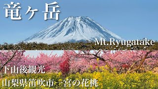 【登山・お花見】竜ヶ岳 広い山頂と富士山の絶景 / 下山後観光 山梨県笛吹市一宮の花桃畑