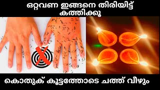 കൊതുക് കൂട്ടത്തോടെ അടുത്ത വീട്ടിലേക്ക് How to make natural mosquito repellent