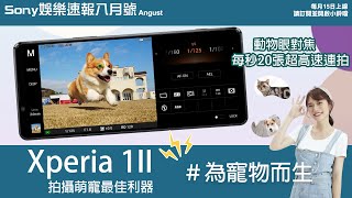 【Sony娛樂速報 8月號】 Xperia 1 II 為寵物而生 ∣ 動物眼對焦 ∣ 每秒20張超高速連拍