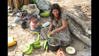 Tsimanes. El despojo de un pueblo.- Bolivia