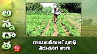 Kharif Groundnut Management  | రాయలసీమలో ఖరిఫ్‌ వేరుశనగ సాగు | ETV