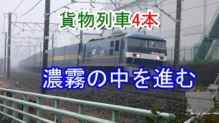 JR貨物 2020/11/07 濃霧の中午前11時台の貨物列車4本