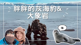 EP-103 【冰島最可愛的驚喜】冰島海豹海岸胖嘟嘟的小海豹與大象岩的震撼之旅 #冰島 #自駕 #極光 #瀑布 #溫泉 #火山 #冒險 #冰川