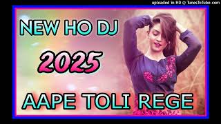 Aape ToLi Rege || New Ho Munda Dj Song 2025 || Dama Dumeng Dj Song 2025 New Nagpuri Dj Song 2025