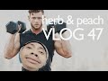 Vlog 47 - BG Check, 🎵 Ft. Kyrudian, How To Do Inclines... Get a Coach