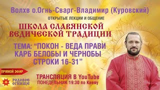 ПОКОН-ВЕДА ПРАВИ. КАРБ  БЕЛОБЫ И ЧЕРНОБЫ . Строки 16-31.  Волхв Огнь-Сварг- Владимир (Куровский)