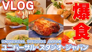 【USJ VLOG】好きな物を食べて・飲んでの爆食な1日【2024夏・お盆休み】