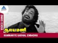 Satti Suttadhada Video Song | TMS | Sivaji Ganesan | Alayamani Tamil Movie | Pyramid Glitz Music