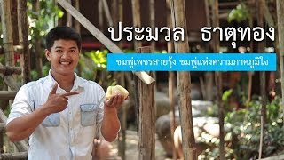 ประมวล ธาตุทอง สืบทอดอาชีพปลูกชมพู่เพชรสายรุ้ง