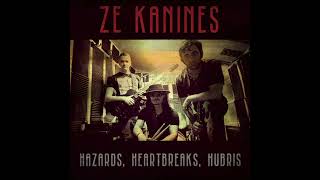 Fulton Street Station (Interlude) - Ze Kanines