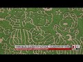 Corn maze pays tribute to state full of national champions