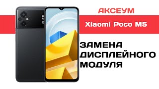 Замена экрана на Xiaomi Poco M5