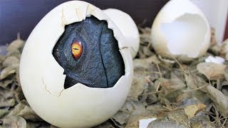 How to make a Dinosaur Egg.