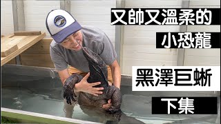 【昆蟲擾西上課了！】又帥又溫柔的小恐龍 黑澤巨蜥 （下）black water moniter