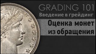 Как Оценивать Монеты из Обращения - Введение в Грейдинг