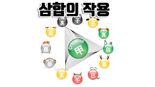 해묘미 인오술 사유축 신자진 삼합의 작용 ＃1