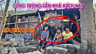 CHA MẸ bỏ đi hết, để lại 3 đứa trẻ MỒ CÔI giữa rừng, ăn LÁ CÂY, CỦ KHOAI rừng sinh sống - tập 706