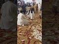 Saraiki balochi jhumar khalil sabqi #shorts#viral#jhumar#best#saraiki#dance#viral