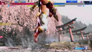 Street Fighter 6 Perfect troll