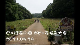 くりはま花の国～ポピー花摘み大会～2021.05.29