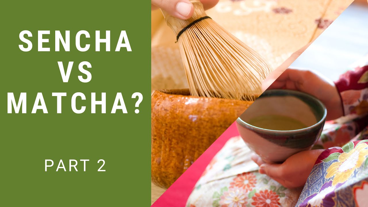 The Difference Between Matcha & Sencha Japanese Green Tea Part 2 | 6 ...