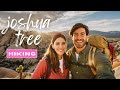 Epic Adventures Await - Hiking Through Joshua Tree National Park in California!