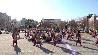 あぐい騰 @四日市よさこい祭り(市民公園会場) 2018-11-25T10:50