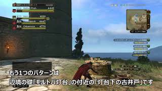 【DDON】Lv10～、Lv60リザードマン (ジョブ修練)