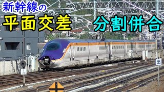 平面交差配線で忙しい新幹線 福島駅【上りアプローチ線は準備中】Railroad switch of Shinkansen Fukushima station