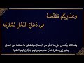 ديوان طرفة بت العبد أشجاك الربع أم قدمه يهدد عمرو بن كلثوم وقبيلة تغلب.