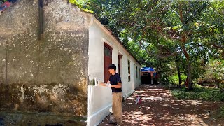 Old House Renovation Ep 52: Painted the house today, grown vegetables on the outside wall