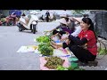 how to harvest roxburgh fig goes to market sell harvesting and cooking tieu vy daily life