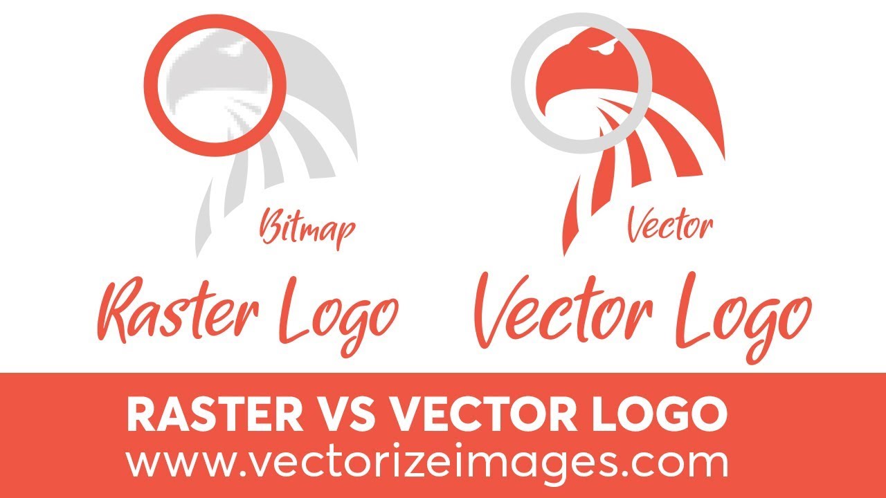 Difference Between Vector And Raster Logo Kingdomtolf