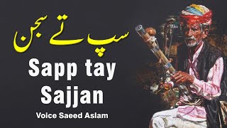 Poetry Poetry Sapp tay Sajjan By Saeed Aslam Punjabi Shayari Whatsapp Status | poetry status