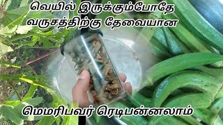 வெண்டைக்காய் வத்தல் செய்முறை/sun dried ladies finger in tamil/ சுலபமா செய்யலாம் வெண்டைக்காய் வத்தல்