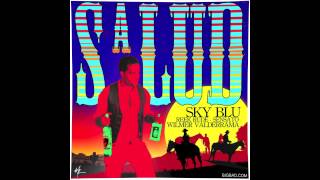 SALUD - Sky Blu ft. Reek Rude, Sensato, and Wilmer Valderrama [OFFICIAL AUDIO]