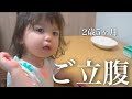 【年子育児】2歳娘とママの言い争いは日常茶飯！【イヤイヤ期真っ只中】