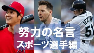 【努力の名言　スポーツ選手編】結果を出せることには訳がある。”努力”だ。