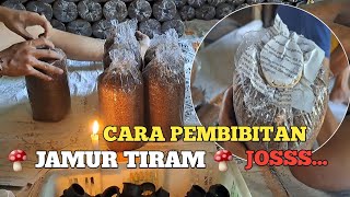 CARA PEMBIBITAN JAMUR TIRAM JOSS 🍄