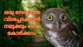 ഇവയുടെ ഒരു നേരത്തെ വിശപ്പകറ്റാൻ നമുക്കും കൈകോർക്കാം.