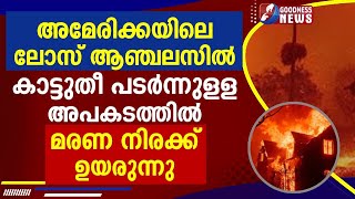 ലോസ് ആഞ്ചലസിലെ അഗ്നിബാധിതർക്ക്  പ്രാർത്ഥനകളുമായി ഫ്രാൻസിസ് പാപ്പ|POPEFRANCIS|GOODNESS NEWS