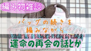 【編み物雑談】前に編んでいたバッグの続きを編みながらおしゃべり【編みラジ】